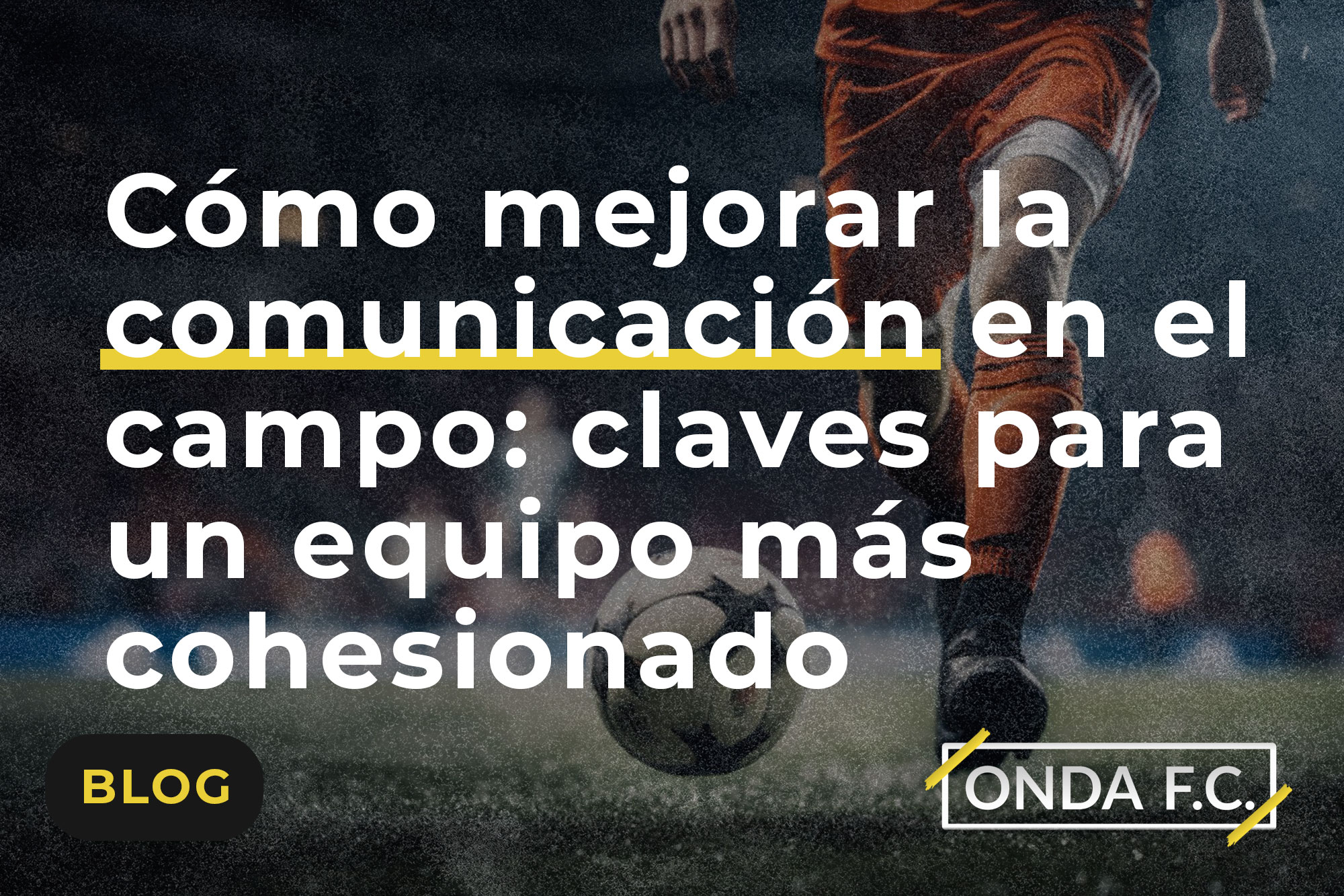 Read more about the article Cómo mejorar la comunicación en el campo: claves para un equipo más cohesionado